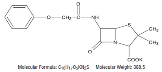 Penicillin V Magnesium